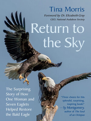 cover image of Return to the Sky